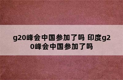 g20峰会中国参加了吗 印度g20峰会中国参加了吗